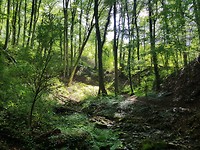20170804_161957