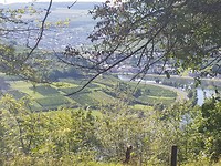 20170807_100530