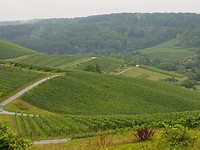 20170808_114503