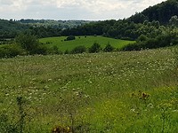 20170809_151427