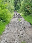 20170809_150902