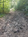 20170809_160507
