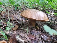 20170810_123411