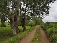 20170810_141036