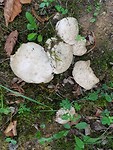 20170811_132629