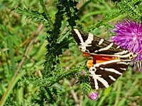 20170814_142649