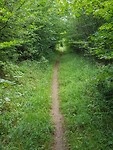 20170814_145858