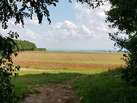 20170814_153631