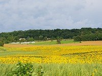 20170815_095740