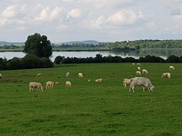20170816_180317