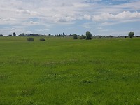 20170817_133133