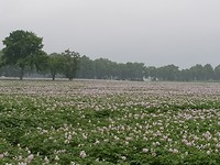 20180619_115721