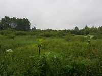 20180619_111531