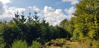 20180904_112003