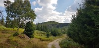 20180904_153130