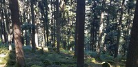 20180909_151819