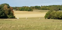 20180922_154700