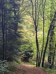 20180923_112919