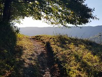 20180925_092858