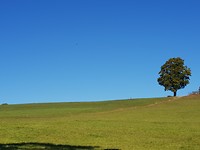 20180928_105815