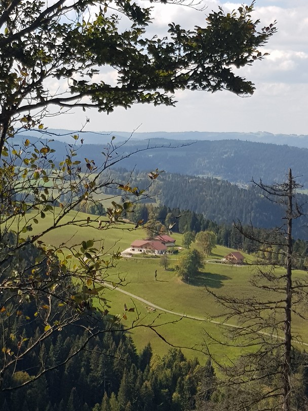 20180928_143822