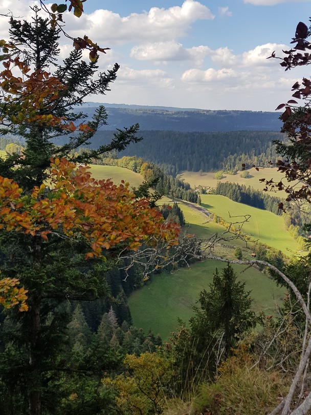 20180928_144553