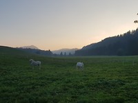 20180929_080745