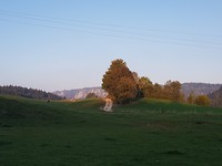 20180929_081213