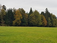 20181002_154557