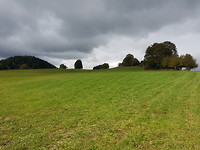 20181003_120520