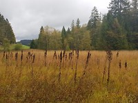 20181003_132326