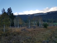 20181004_083415