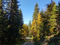 20181004_111557