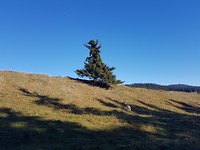 20181005_102202
