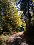 20181005_095643