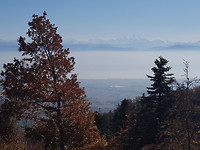 20181005_125456