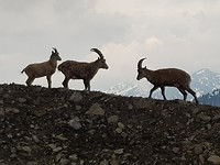 20190525_142451