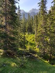 20190720_085326