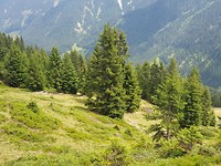 20190721_133438