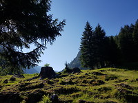 20190723_091037
