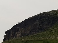 20190725_193323