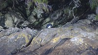DSC04540