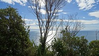 DSC04906