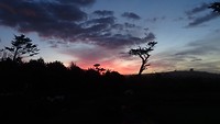 DSC05107
