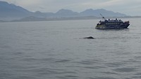 DSC05440