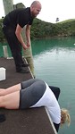 DSC06951