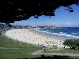Bondi Beach