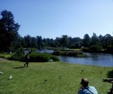 Ornamental Lake met Aaron (rechtsonder)
