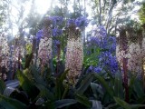 Bloemen!