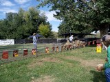 Dog trial @ Gundagai show